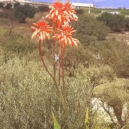 Villa Charming La Mar *
