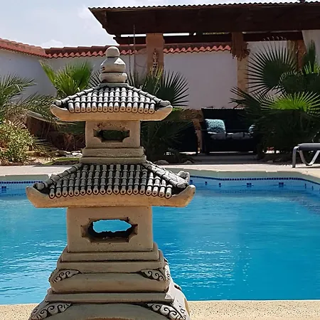 Charming La Mar Albox